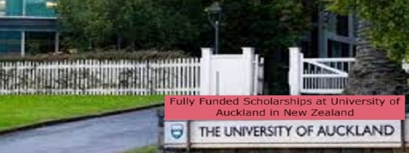 new zealand essay competition 2021