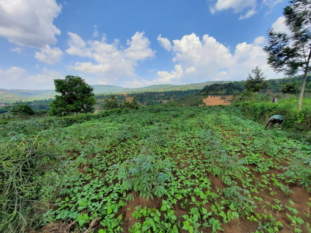 Ikibanza Kiza Cyane Kigurishwa , Kiri Nyarugenge, Mageragere, Akagali ...