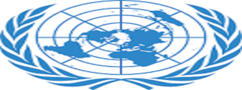 UN 2022 Human Rights Fellowship for People of African Descent ...