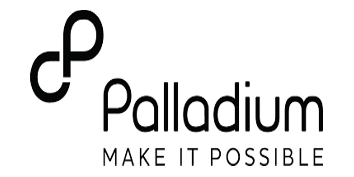 Monitoring, Evaluation, and Communications Associate at Palladium