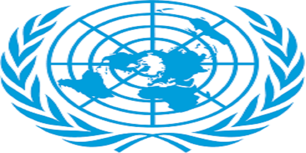 United Nations International Law Programme for African Scholars 2024 ...