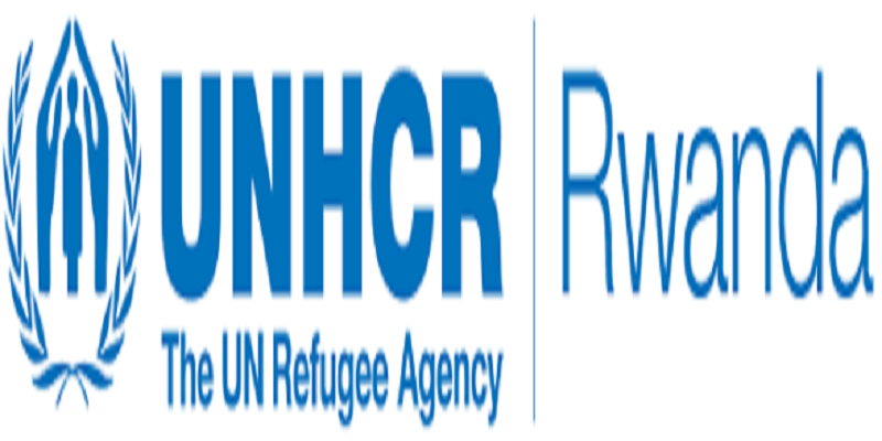 2 Job Positions At UNHCR Rwanda Deadline 9 November 2023 Mucuruzi Com   UNHCR Rwanda 