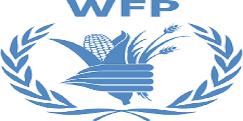 Monitoring & Evaluation Officer; NOB at United Nations World Food ...