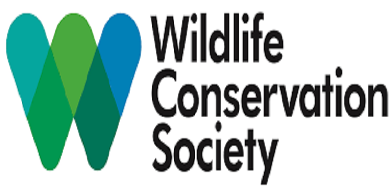 Compliance Manager – USG and UN Agencies at Wildlife Conservation ...