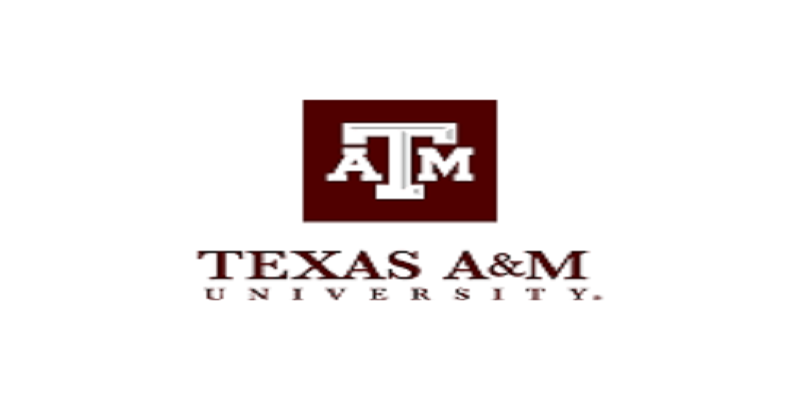 Texas A M University 2024 2025 International Student Scholarships For   Texas AM University 