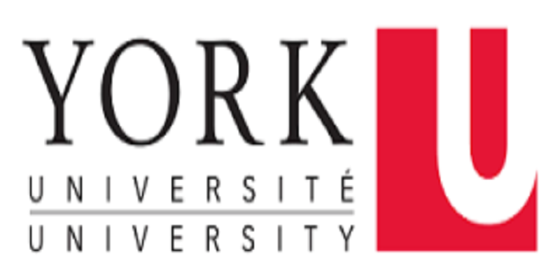 York University 1 