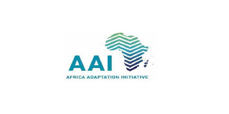 AAI Young Professional Programme on Climate Finance 2024: (Deadline 14 ...